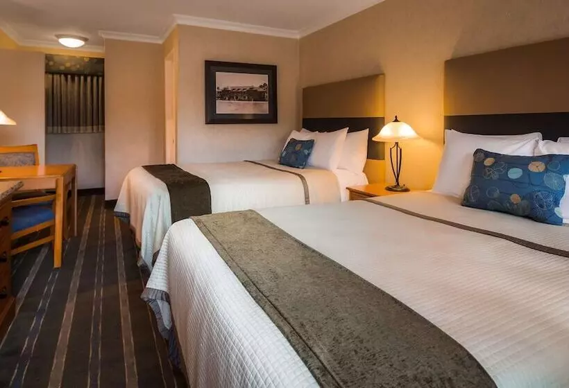 اتاق استاندارد با 2 تخت دوبل, Best Western University Lodge