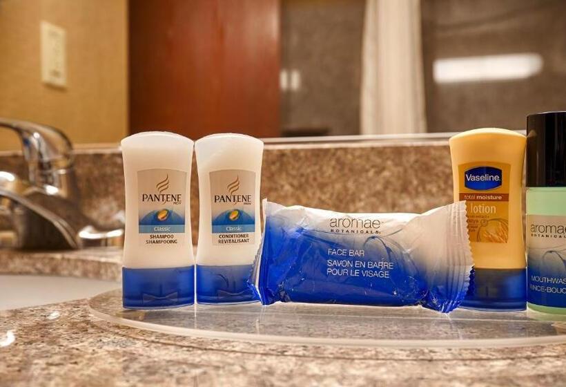 חדר סטנדרט שתי מיטות זוגיות, Best Western University Lodge