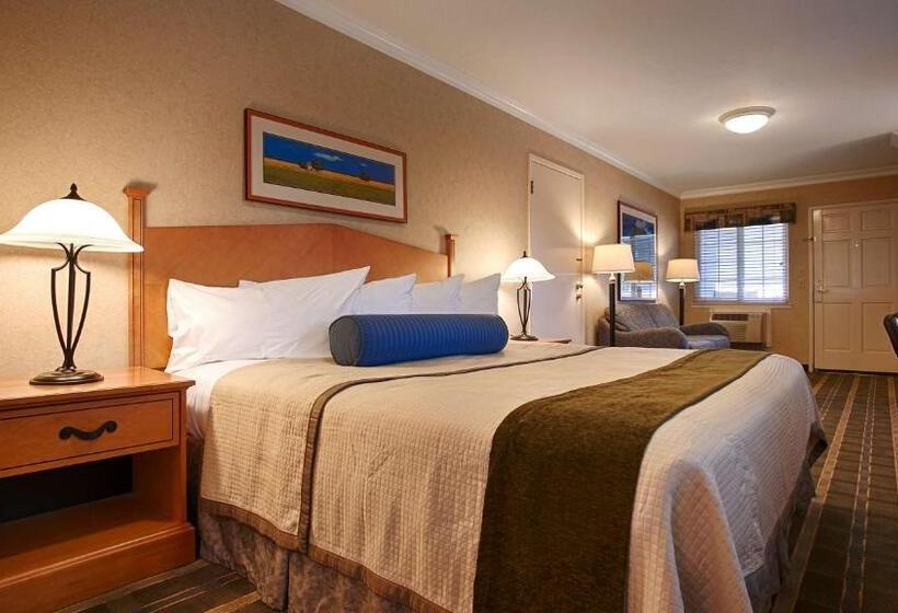 חדר סטנדרט עם מיטת קינג, Best Western University Lodge