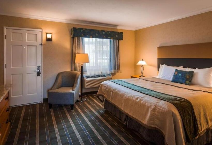 스탠다드 룸 킹사이즈 침대, Best Western University Lodge