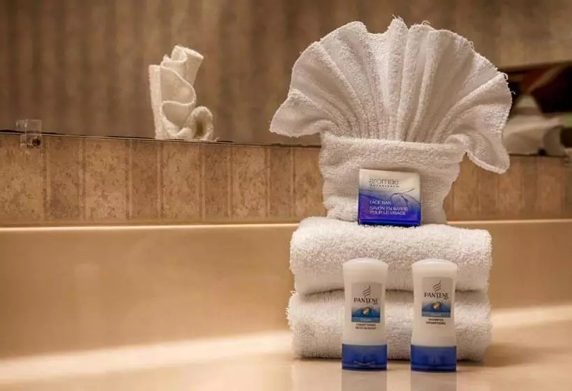 اتاق استاندارد با تخت دو نفره بزرگ برای معلولان, Best Western University Lodge