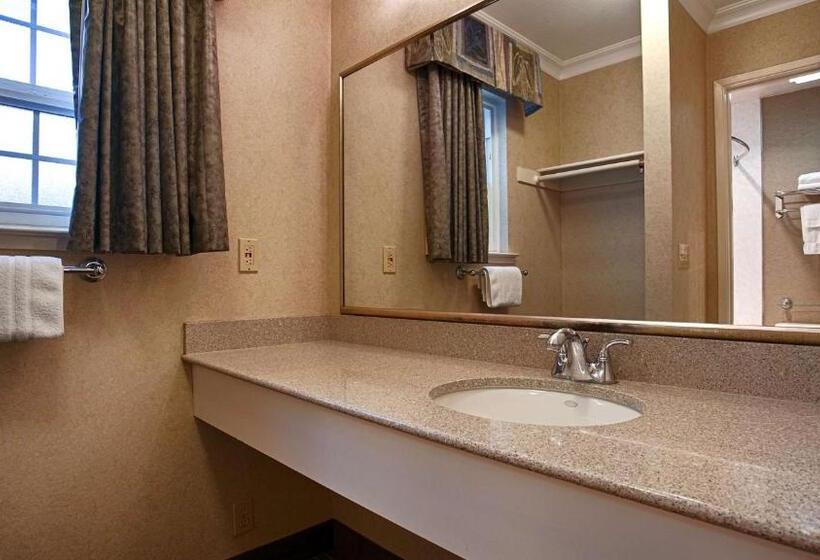 장애인을 위한 퀸사이즈 스탠다드 룸, Best Western University Lodge