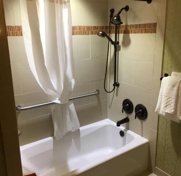 스위트 킹사이즈 침대, Brian Head Lodge