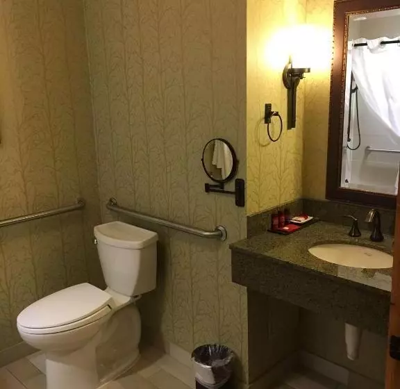 身障者適用キングサイズベッドルーム, Brian Head Lodge