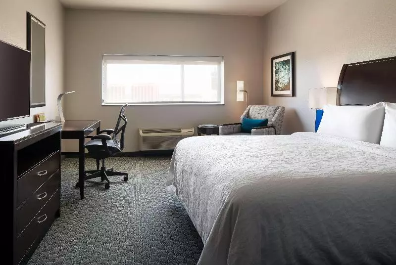 اتاق استاندارد با تخت بزرگ, Hilton Garden Inn Denver/cherry Creek