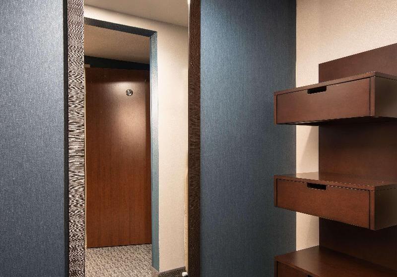 キングサイズベッドのスタンダードルーム, Hilton Garden Inn Denver/cherry Creek