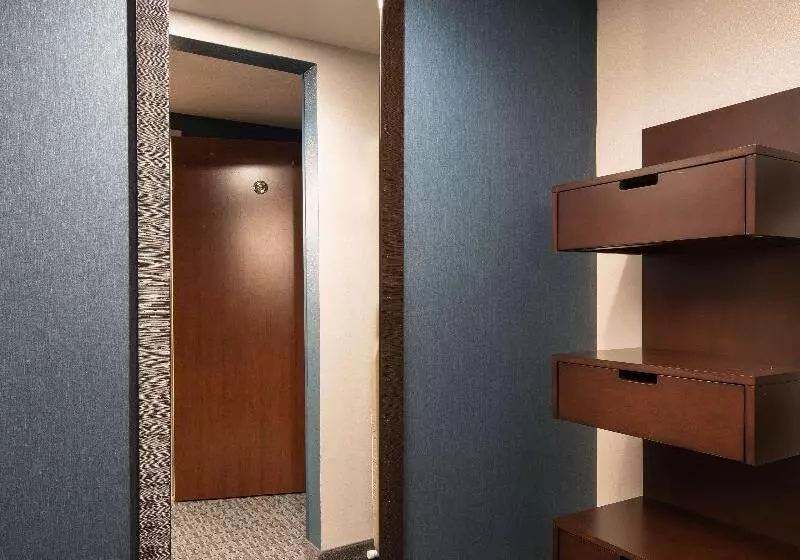 اتاق استاندارد با تخت بزرگ, Hilton Garden Inn Denver/cherry Creek