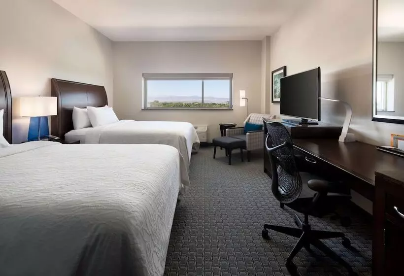 اتاق استاندارد با 2 تخت دوبل, Hilton Garden Inn Denver/cherry Creek