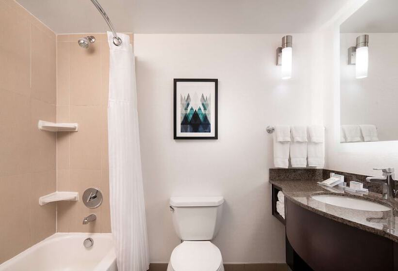 חדר סטנדרט שתי מיטות זוגיות, Hilton Garden Inn Denver/cherry Creek
