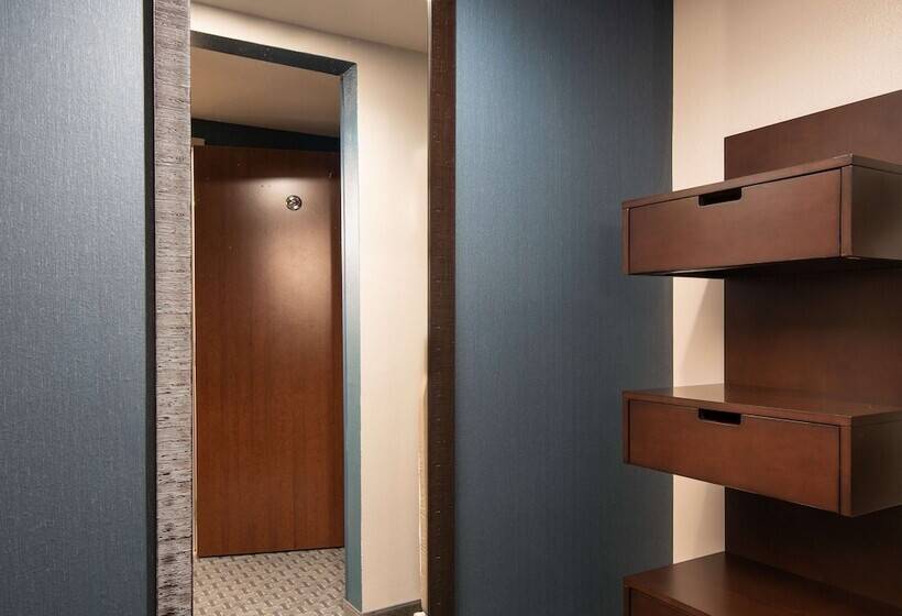 ２ダブルベッドのスタンダードルーム, Hilton Garden Inn Denver/cherry Creek