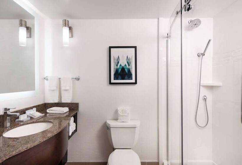 חדר סטנדרט מיטה זוגית, Hilton Garden Inn Denver/cherry Creek