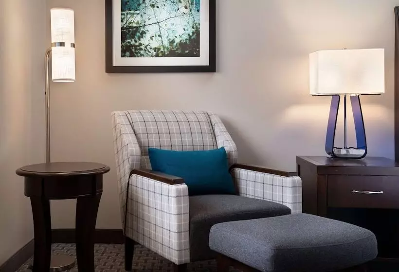 اتاق استاندارد با تخت دوبل, Hilton Garden Inn Denver/cherry Creek