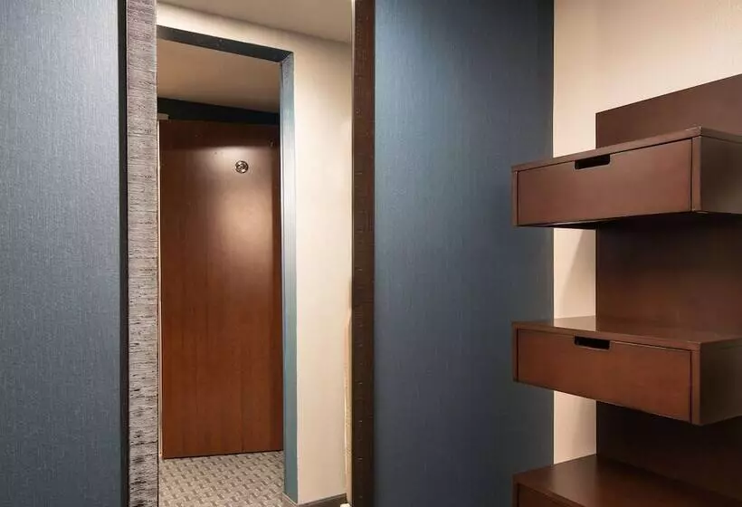 اتاق استاندارد با تخت دوبل, Hilton Garden Inn Denver/cherry Creek