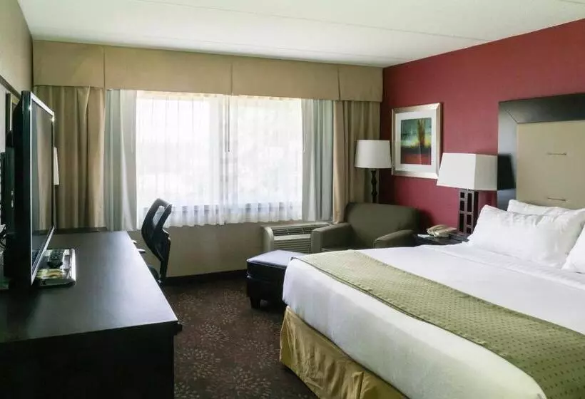 キングサイズベッドのスタンダードルーム, Holiday Inn Express Big Rapids, An Ihg