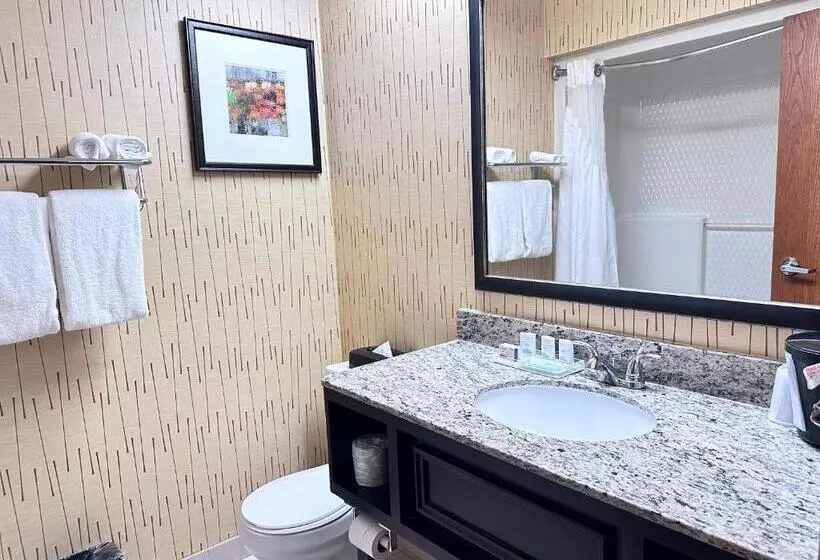 キングサイズベッドのスタンダードルーム, Holiday Inn Express Big Rapids, An Ihg