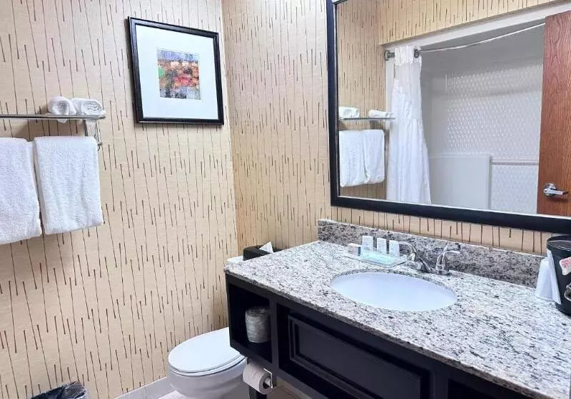 キングサイズベッドのスイートルーム, Holiday Inn Express Big Rapids, An Ihg