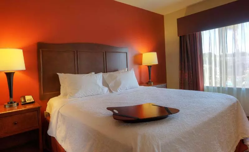 身障者適用スタンダードルーム, Holiday Inn Express Big Rapids, An Ihg