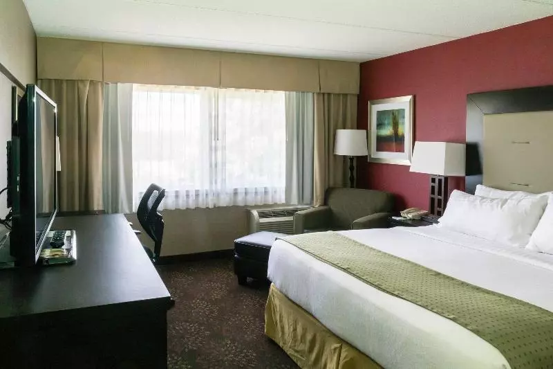 キングサイズベッドのスタンダードルーム, Holiday Inn Express Big Rapids, An Ihg
