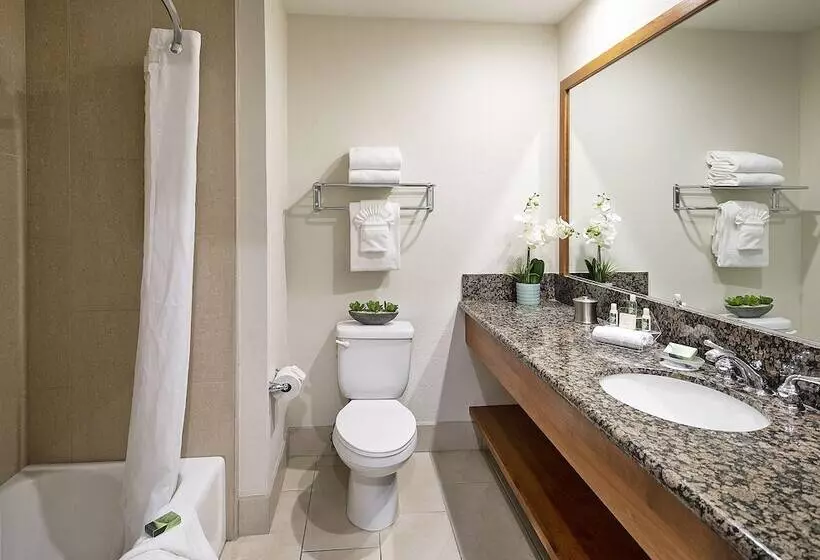 اتاق استاندارد با تخت بزرگ, Inn At The Cove