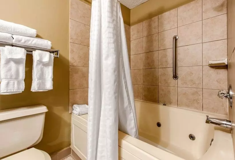 スイート, Quality Inn & Suites New Castle
