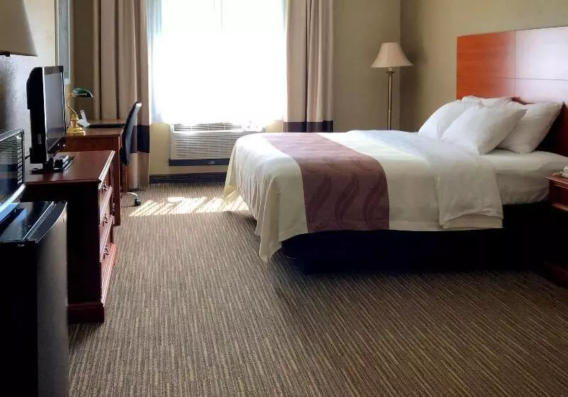 キングサイズベッドのスイートルーム, Quality Inn & Suites New Castle