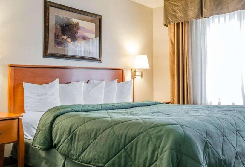 Люкс Кровать Кинг, Quality Inn & Suites