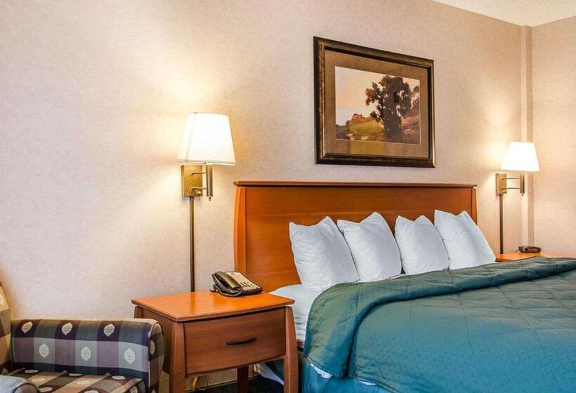 Стандартный Номер Кровать Кинг, Quality Inn & Suites