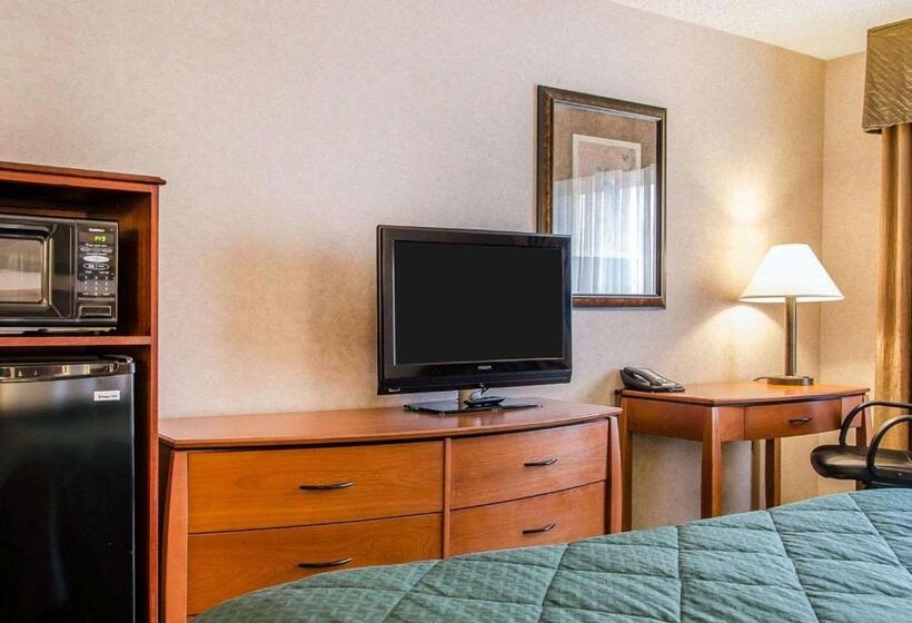 غرفة قياسية سرير كينج, Quality Inn & Suites