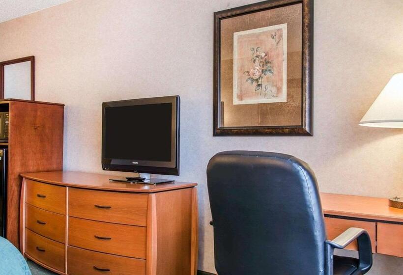غرفة قياسية سرير كينج, Quality Inn & Suites