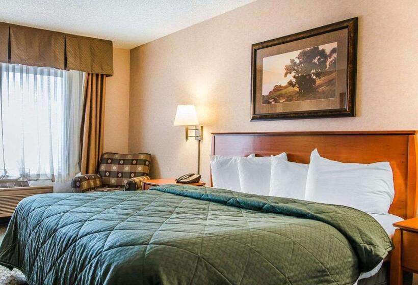 غرفة قياسية سرير كينج, Quality Inn & Suites
