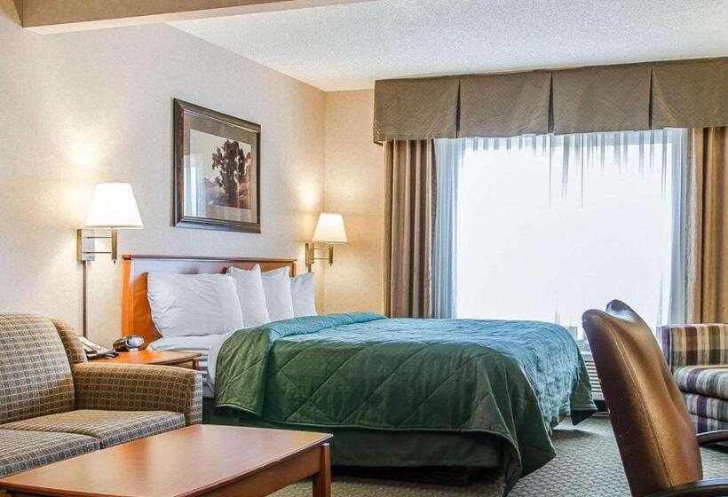Люкс Кровать Кинг, Quality Inn & Suites