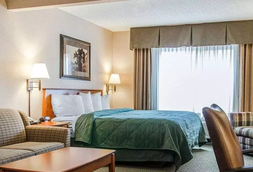 スイート, Quality Inn & Suites