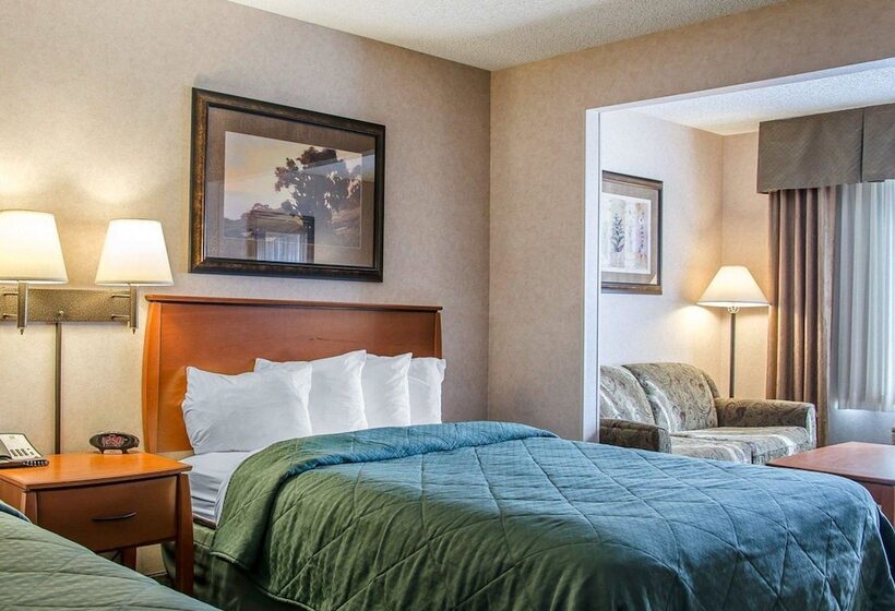 Люкс, Quality Inn & Suites