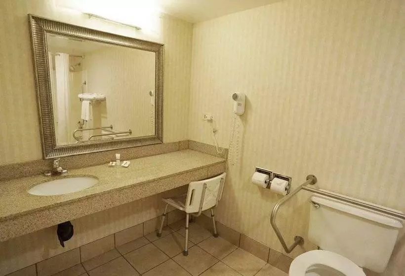 デラックスルーム, Red Roof Inn Gurnee  Waukegan