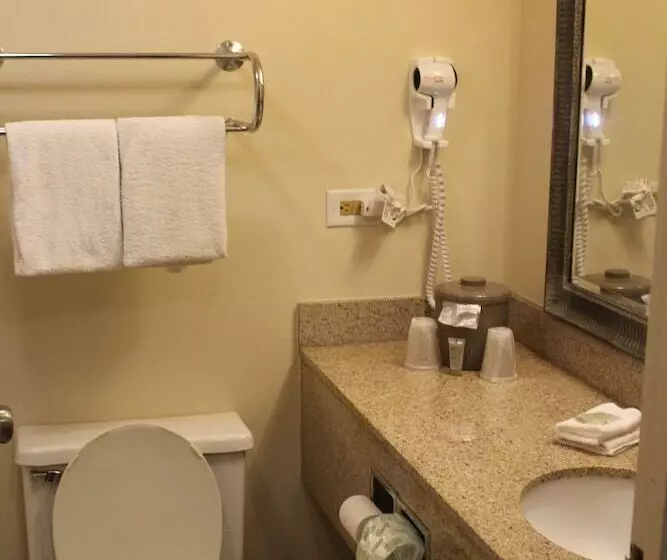 デラックスルーム, Red Roof Inn Gurnee  Waukegan