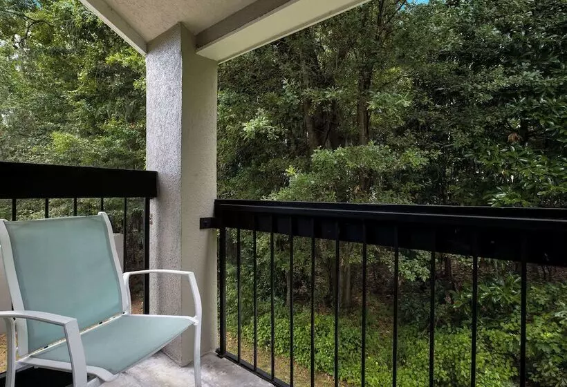 ビジネスルーム, Sleep Inn Savannah Midtown