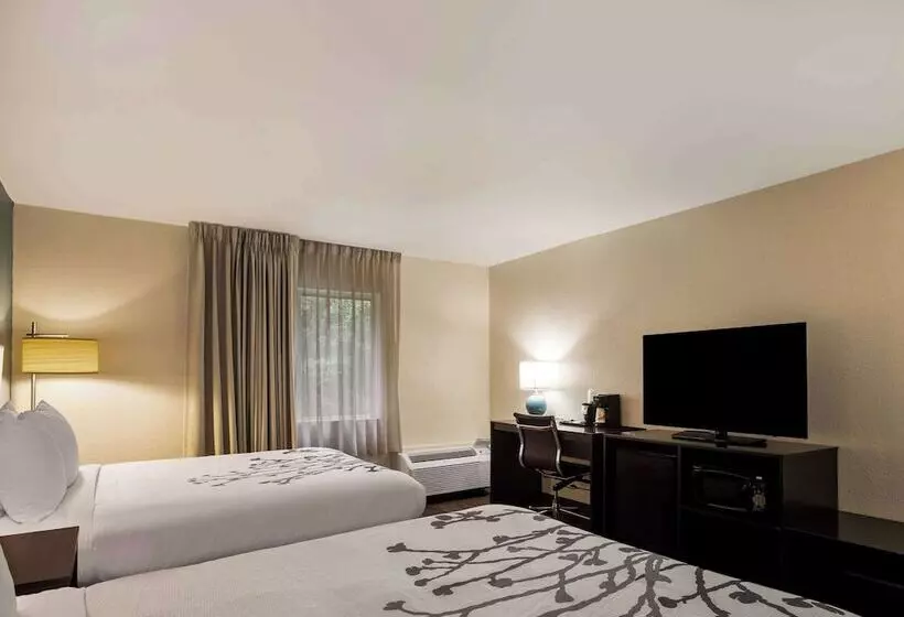 ビジネスルーム, Sleep Inn Savannah Midtown