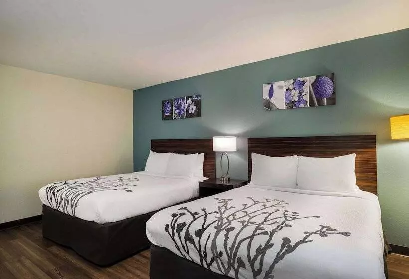 ビジネスルーム, Sleep Inn Savannah Midtown