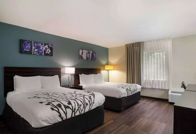 ビジネスルーム, Sleep Inn Savannah Midtown