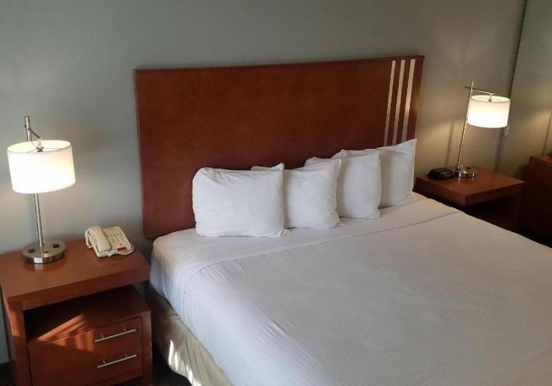 장애인을 위한 킹사이즈 침대 스탠다드 룸, Surestay Hotel By Best Western Hollister