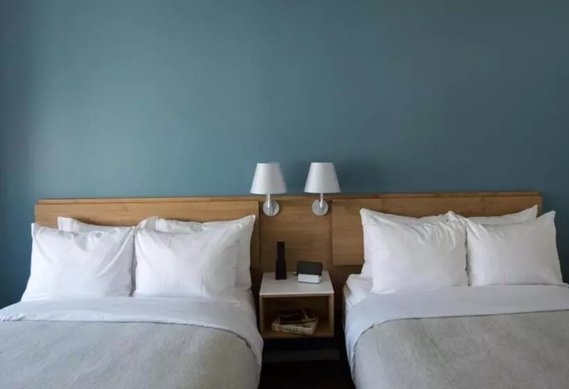 デラックスルーム, The Study At Yale, Study Hotels