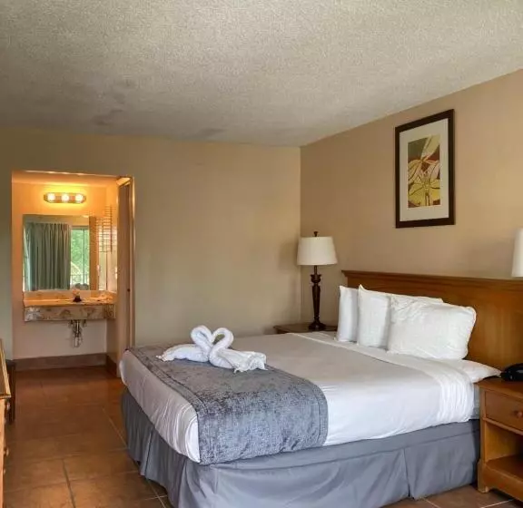 プールの見えるデラックスルーム, Altamonte Springs Hotel And Suites