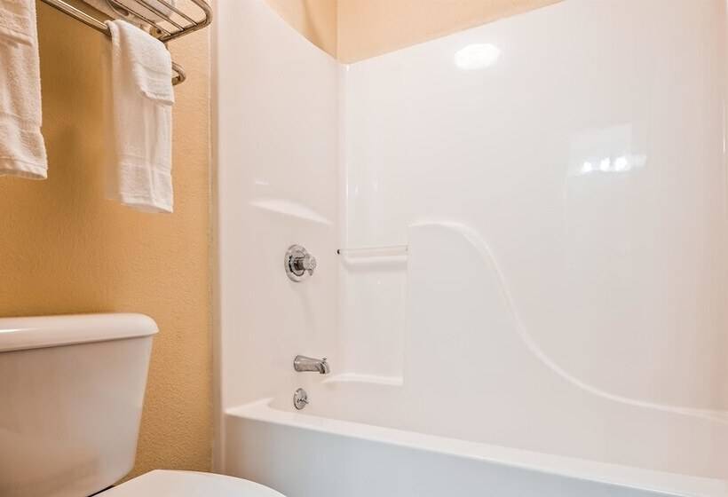 스탠다드 룸 더블 침대 2개, Best Western Muncie