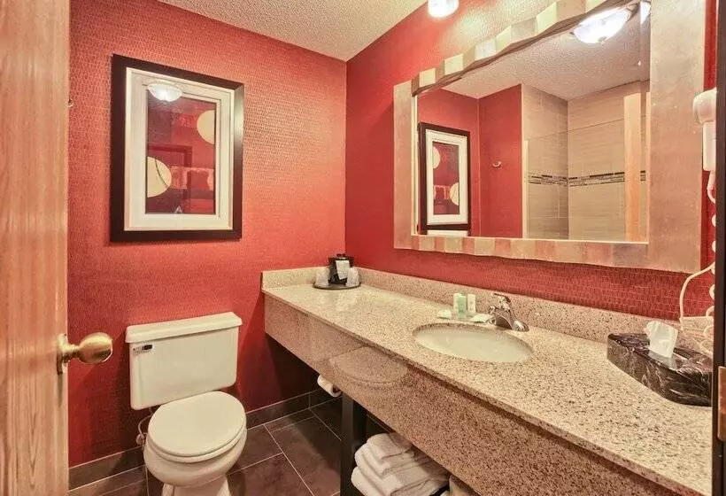キングサイズベッドのスイートルーム, Comfort Inn & Suites And Conference Center