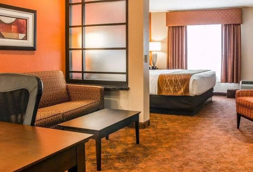 キングサイズベッドのスイートルーム, Comfort Inn & Suites And Conference Center