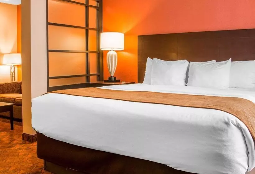 キングサイズベッドのスイートルーム, Comfort Inn & Suites And Conference Center