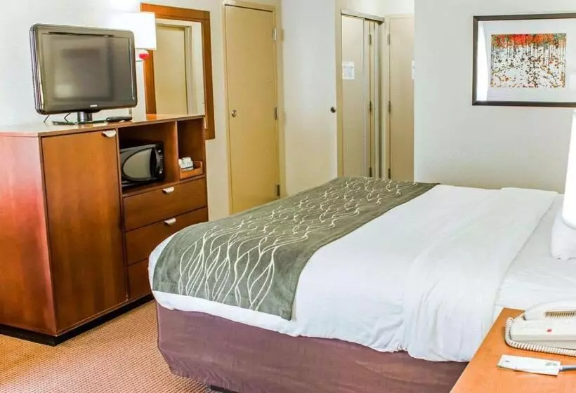 キングサイズベッドのスタンダードルーム, Comfort Inn Fayetteville West Near Fort Liberty