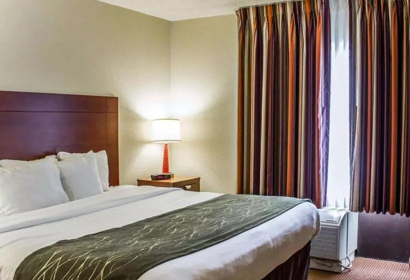 キングサイズベッドのスタンダードルーム, Comfort Inn Fayetteville West Near Fort Liberty