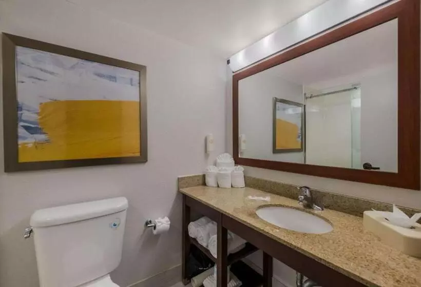 اتاق استاندارد با 2 تخت دوبل, Comfort Inn Newport News  Hampton I64