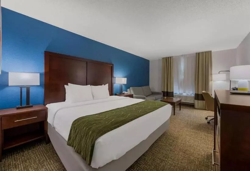 اتاق استاندارد با تخت بزرگ, Comfort Inn Newport News  Hampton I64